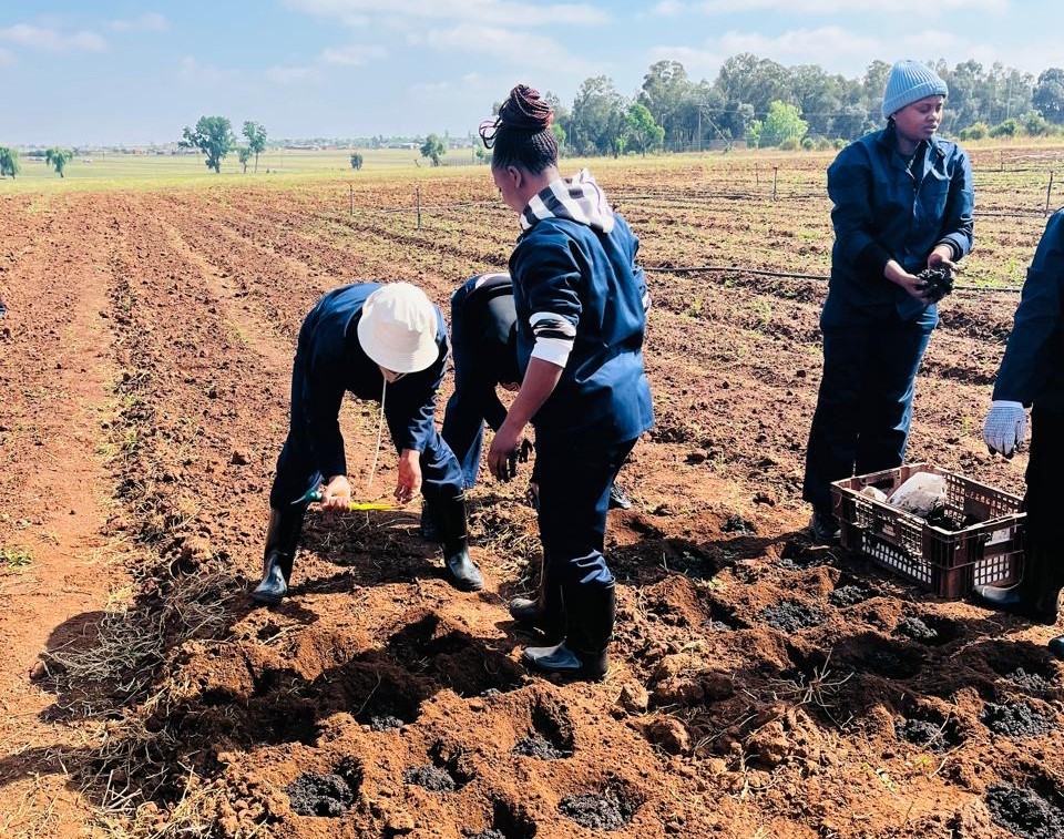 Plant Production Training